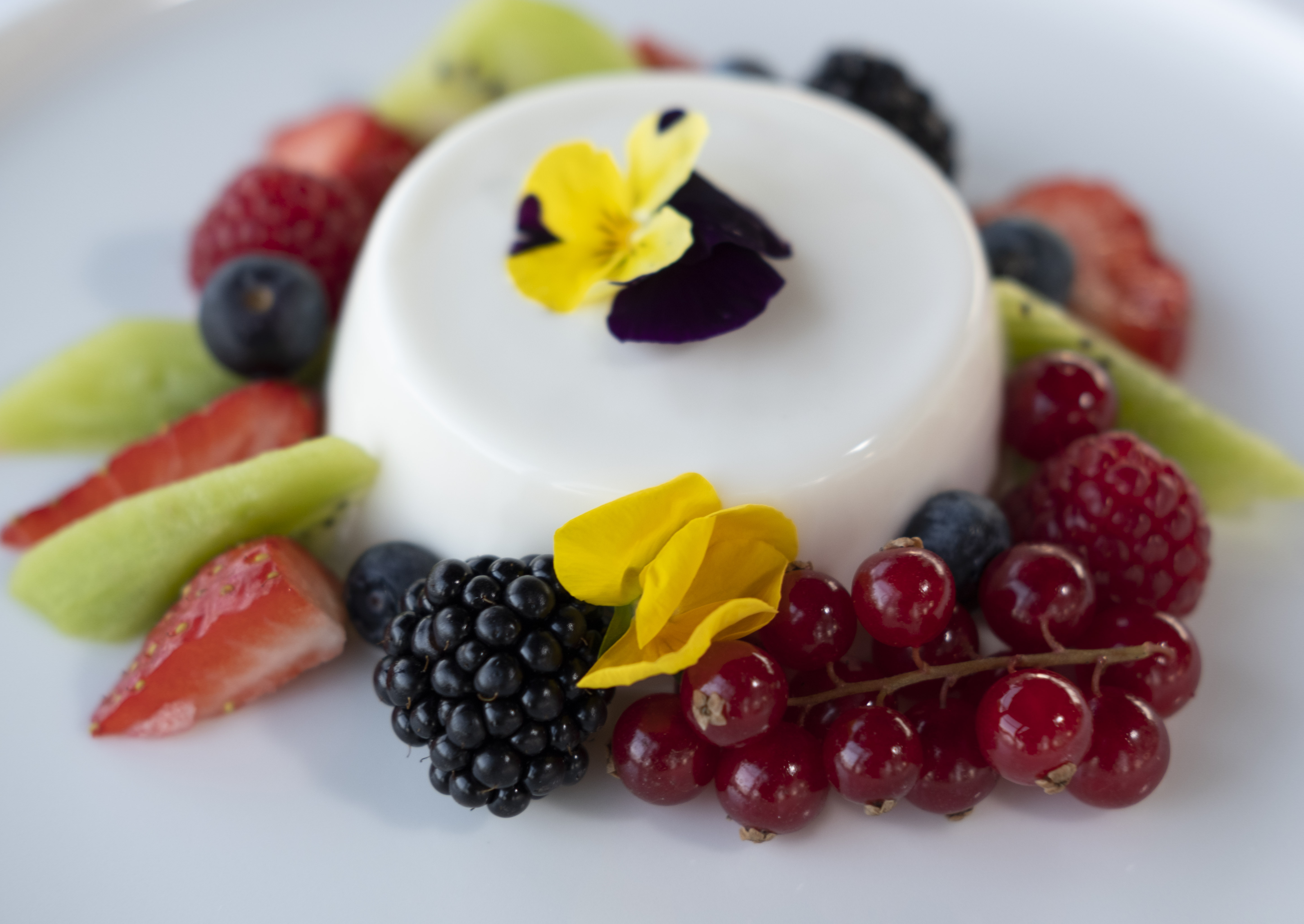 Panna Cotta